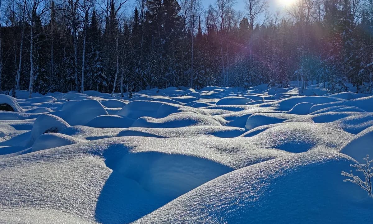 Фрирайд на ратраках (Catskiing) в Шерегеше 2026/2027: Мустаг, Тельбес, Викторьевка — маршруты, цены, безопасность и расписание