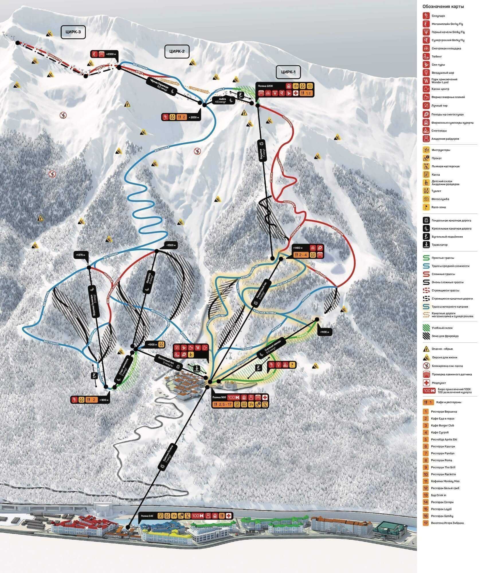 Магия полянского леса: Tree-skiing для тех, кто любит детали 2026