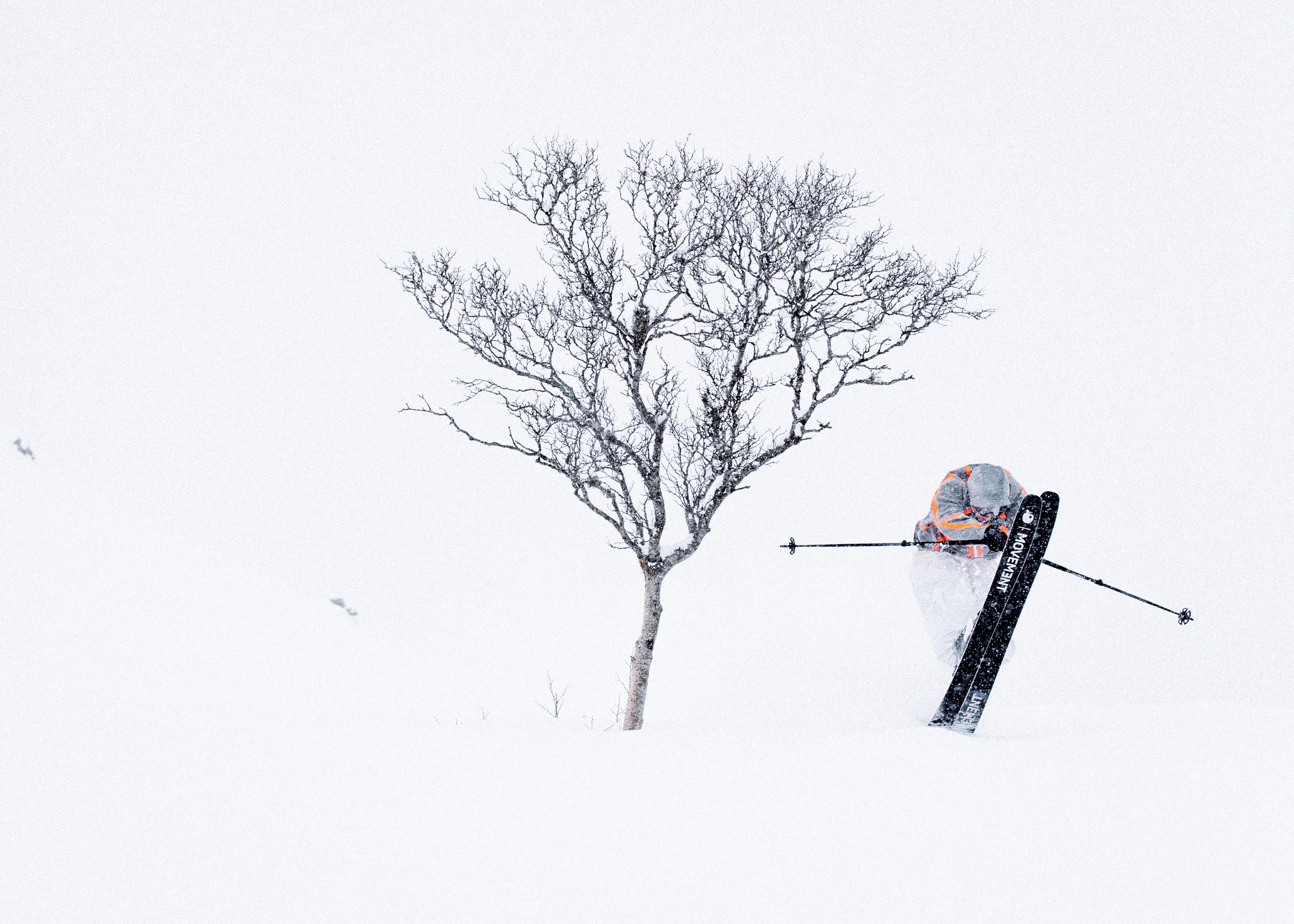 Movement Skis в Швейцарских Альпах — Вербье
