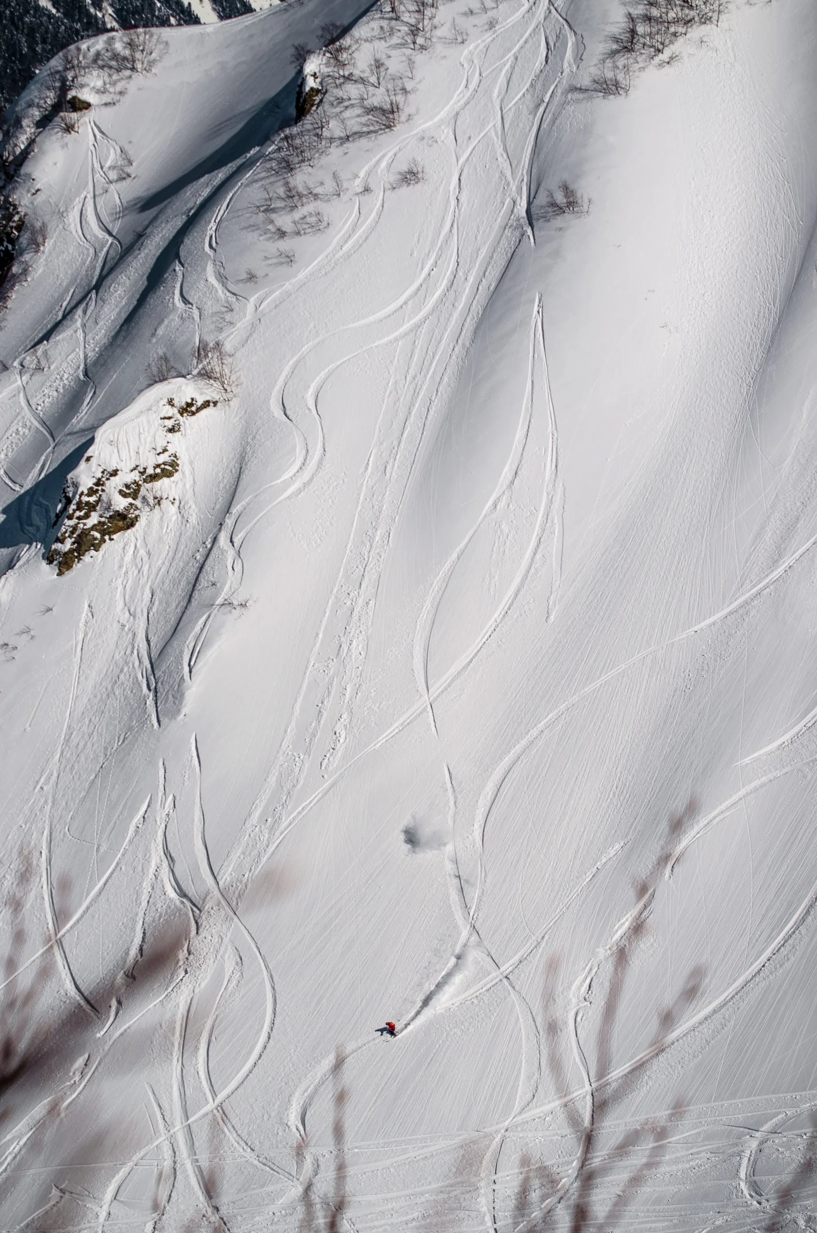 Школа техники фрирайда